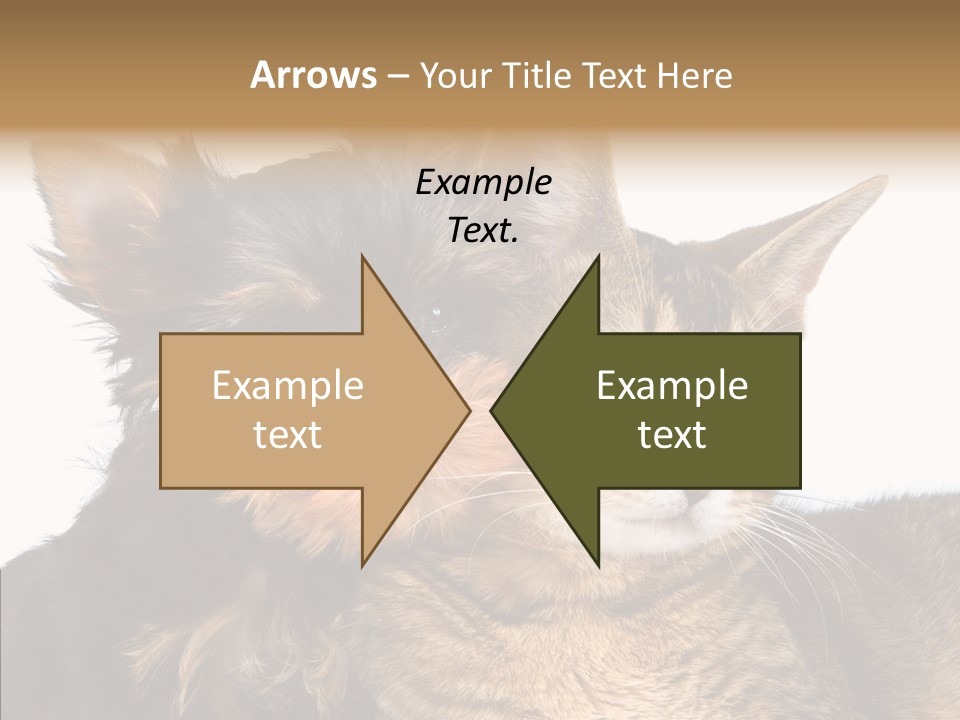 Beautiful Tiny Cute PowerPoint Template