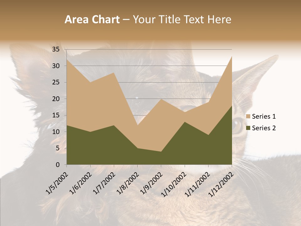 Beautiful Tiny Cute PowerPoint Template