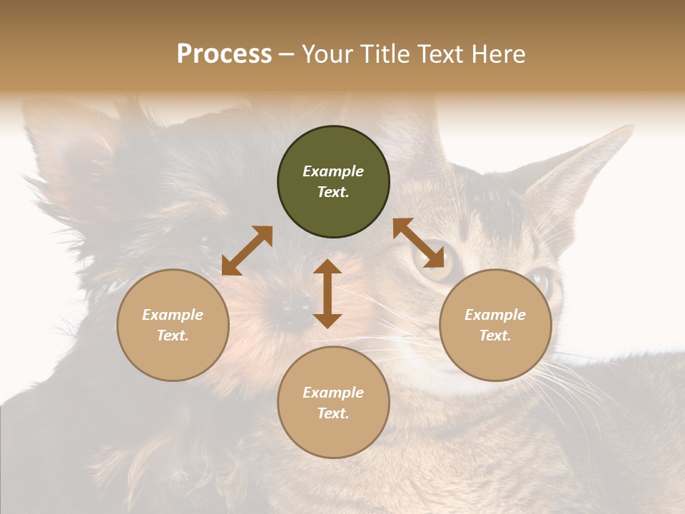 Beautiful Tiny Cute PowerPoint Template