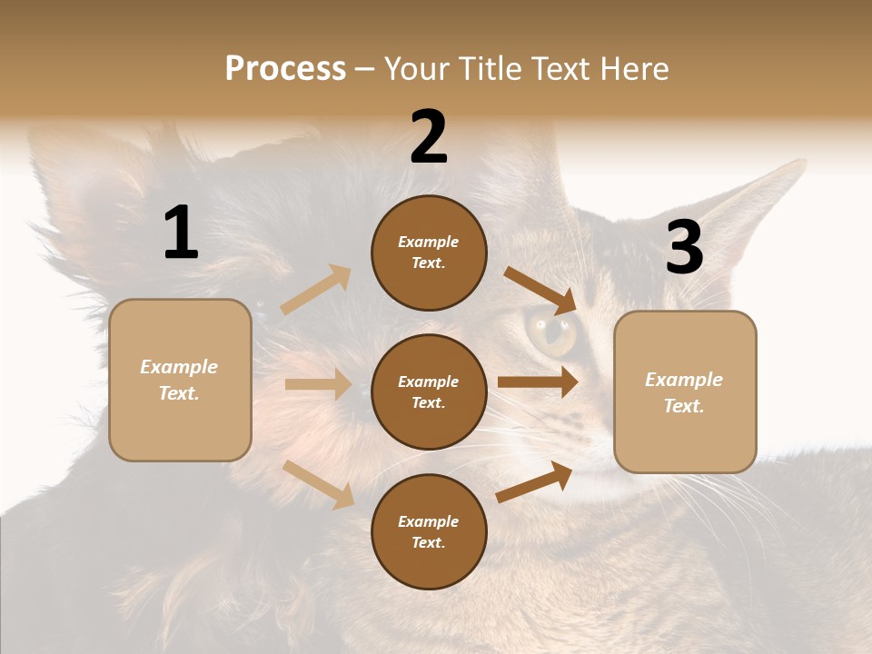 Beautiful Tiny Cute PowerPoint Template