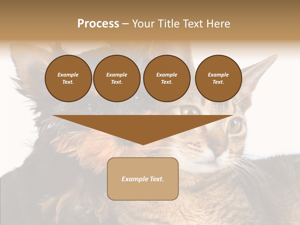 Beautiful Tiny Cute PowerPoint Template