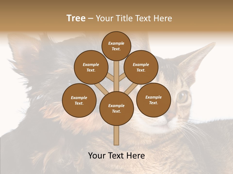 Beautiful Tiny Cute PowerPoint Template