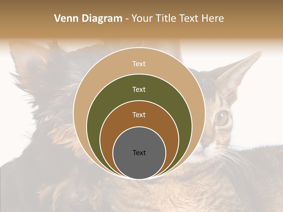 Beautiful Tiny Cute PowerPoint Template