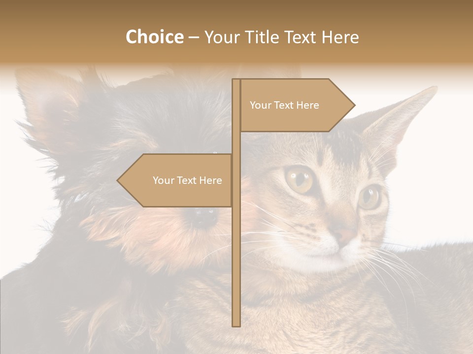 Beautiful Tiny Cute PowerPoint Template