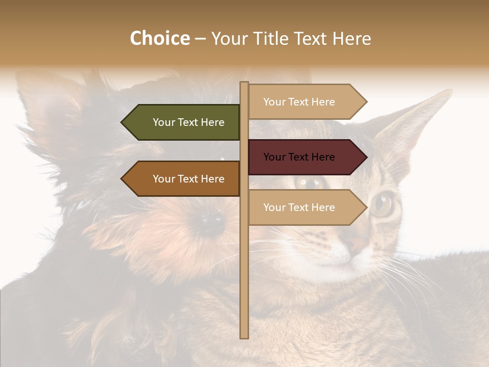 Beautiful Tiny Cute PowerPoint Template
