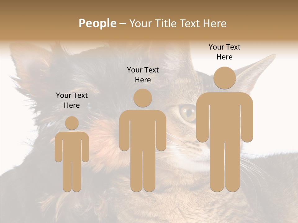 Beautiful Tiny Cute PowerPoint Template