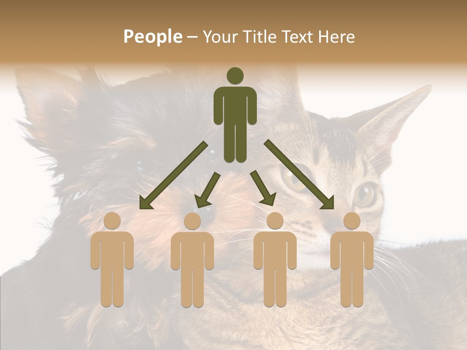 Beautiful Tiny Cute PowerPoint Template