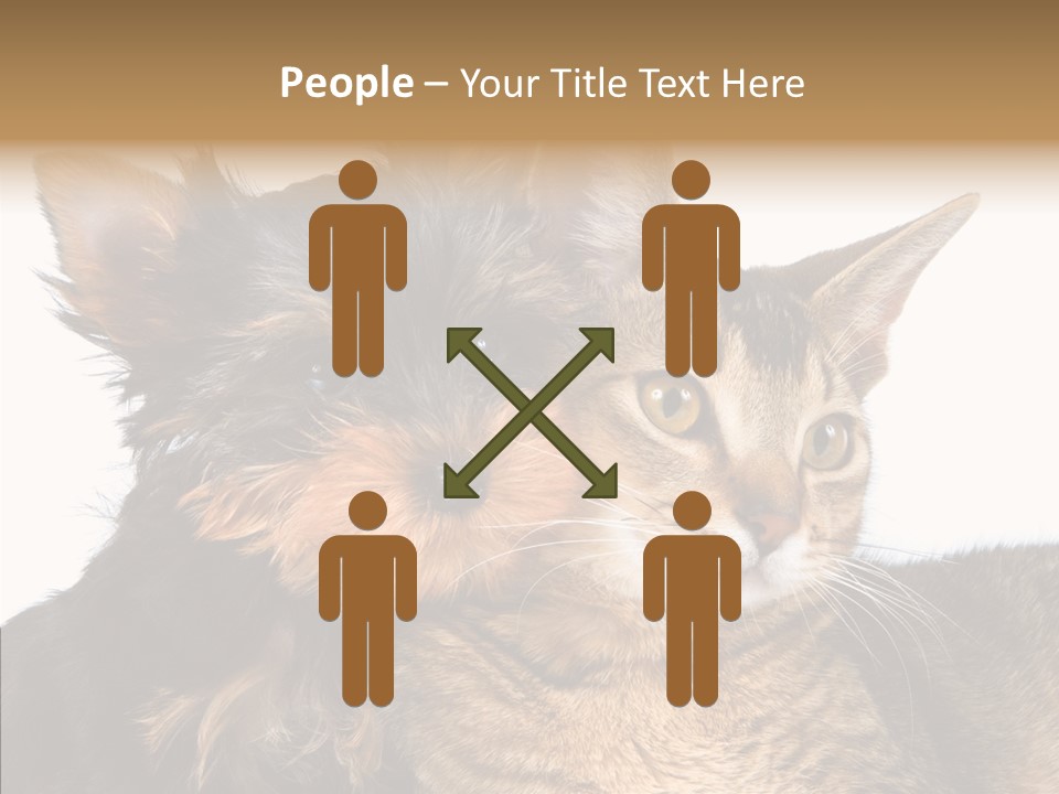 Beautiful Tiny Cute PowerPoint Template