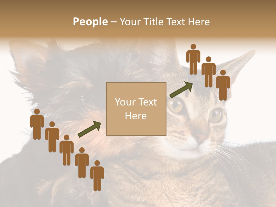 Beautiful Tiny Cute PowerPoint Template