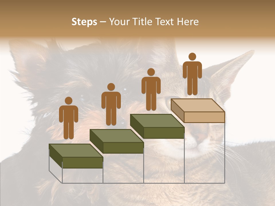 Beautiful Tiny Cute PowerPoint Template