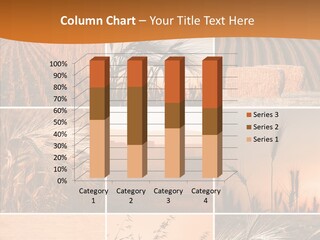 Industry Golden Rural PowerPoint Template