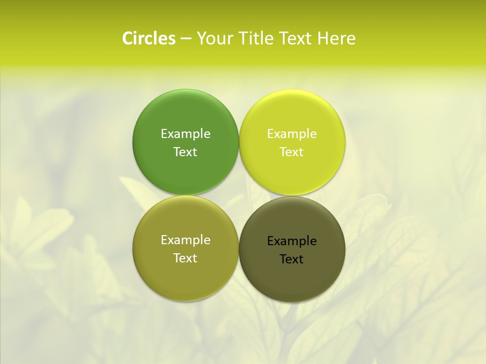 Shine Blur Green PowerPoint Template