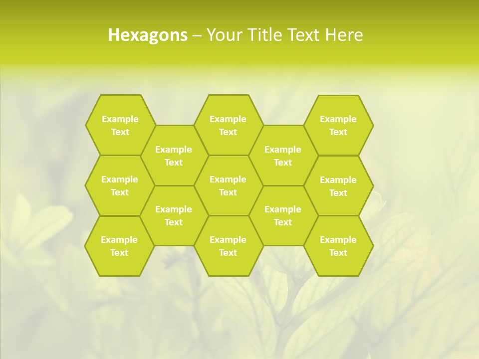 Shine Blur Green PowerPoint Template