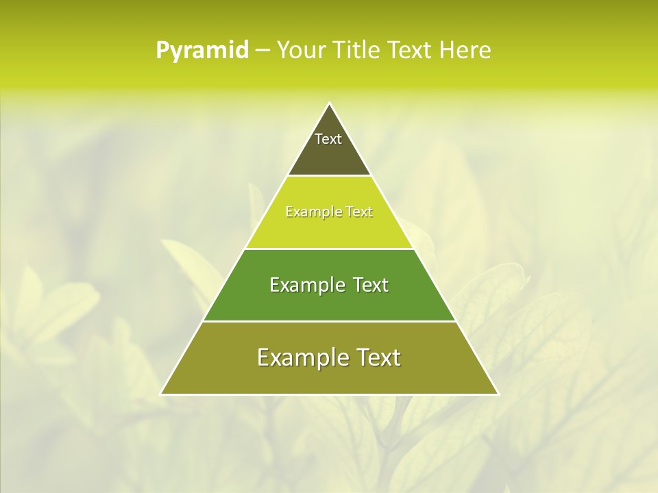 Shine Blur Green PowerPoint Template