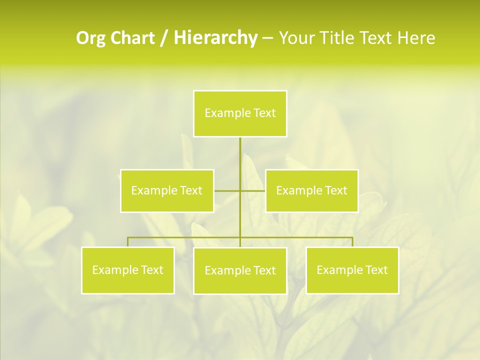 Shine Blur Green PowerPoint Template