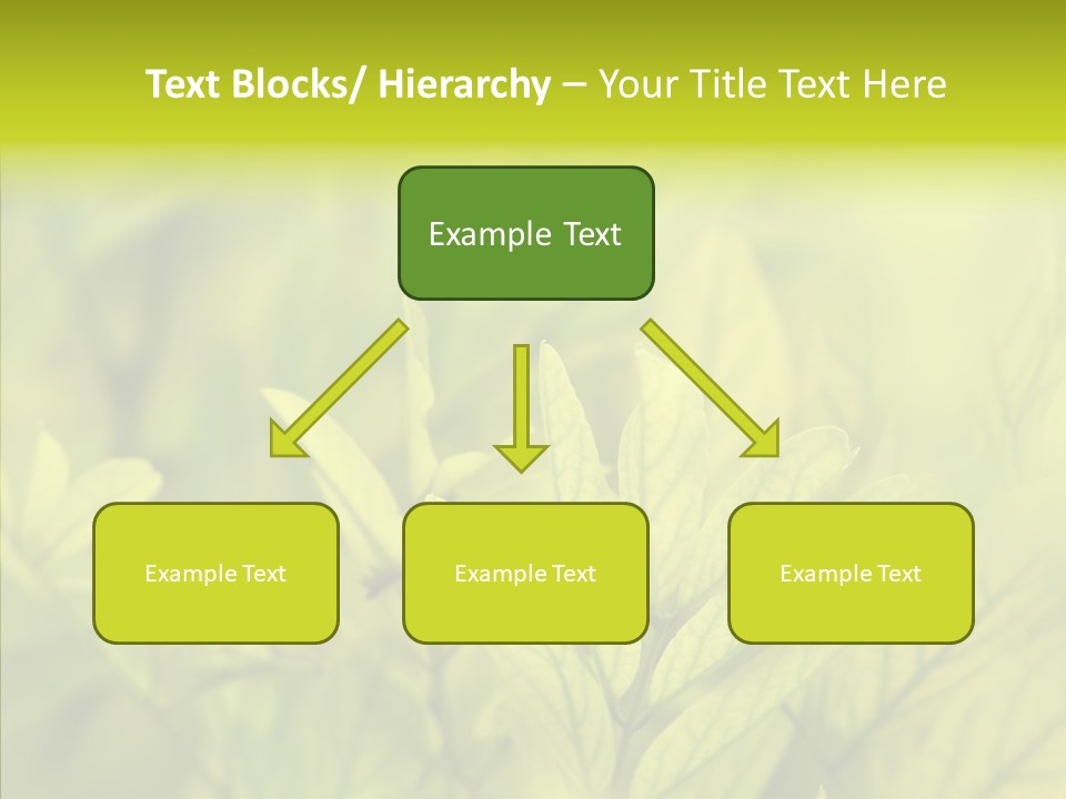 Shine Blur Green PowerPoint Template