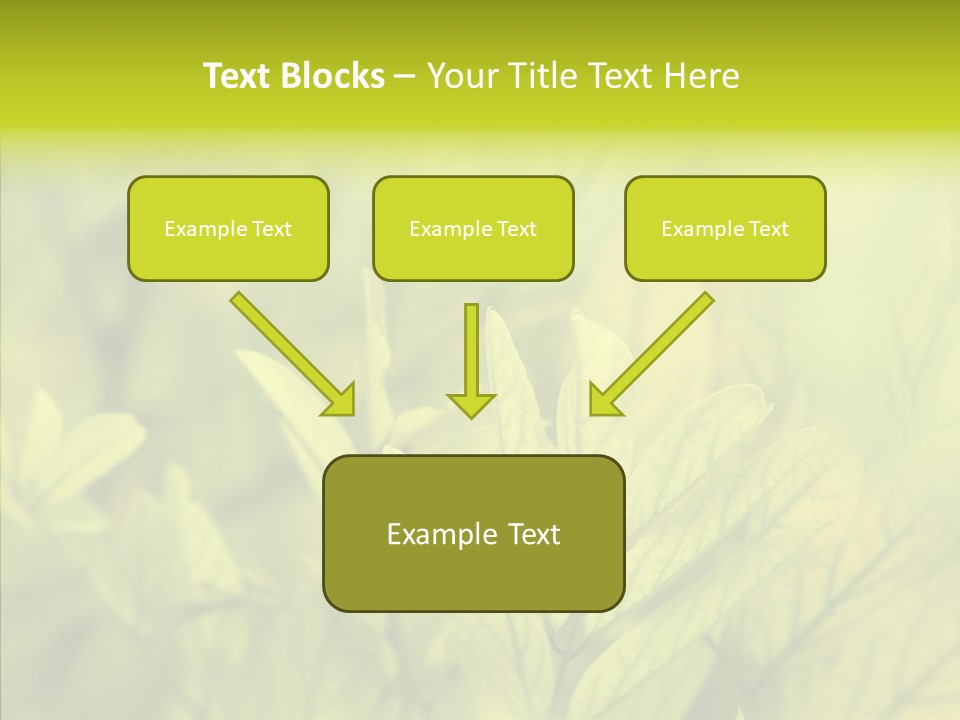 Shine Blur Green PowerPoint Template