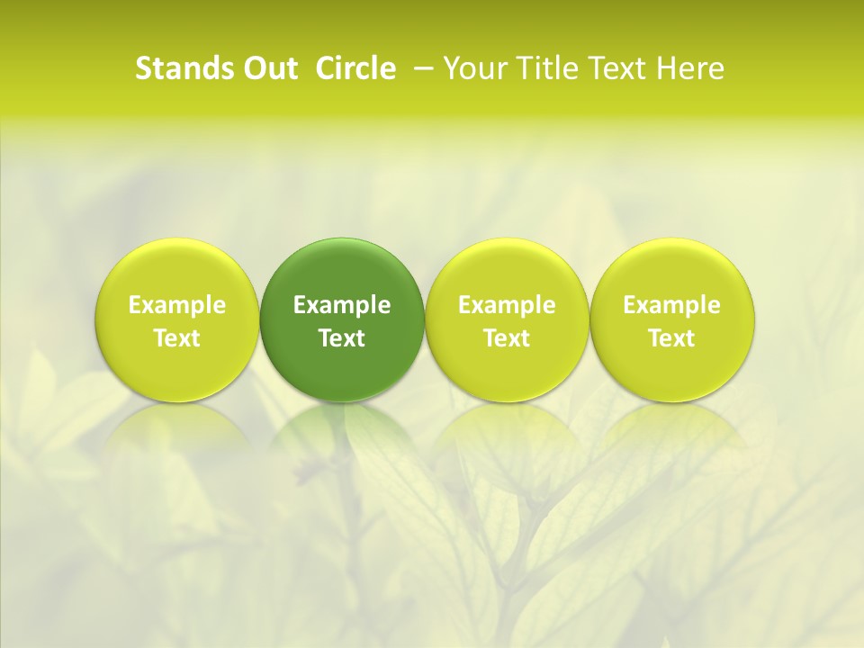 Shine Blur Green PowerPoint Template