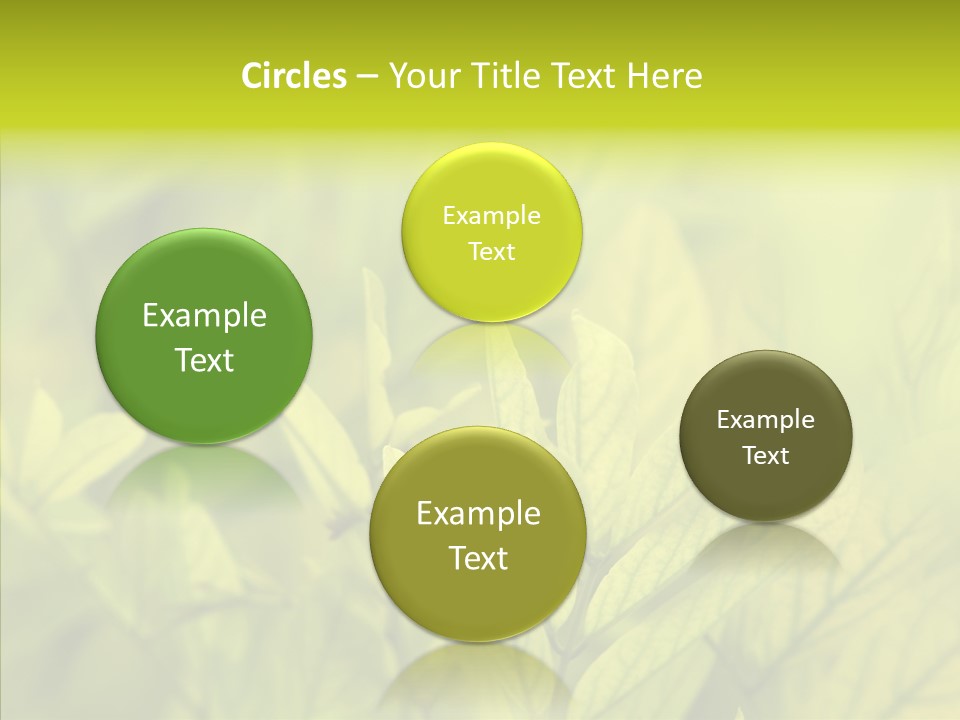 Shine Blur Green PowerPoint Template