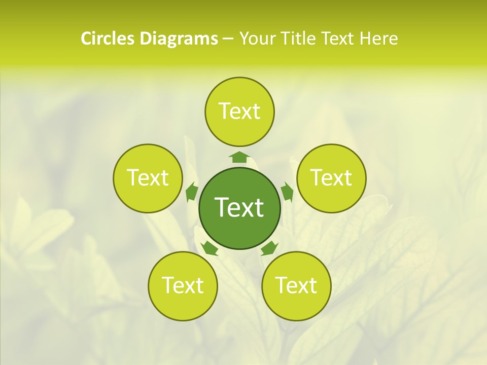 Shine Blur Green PowerPoint Template