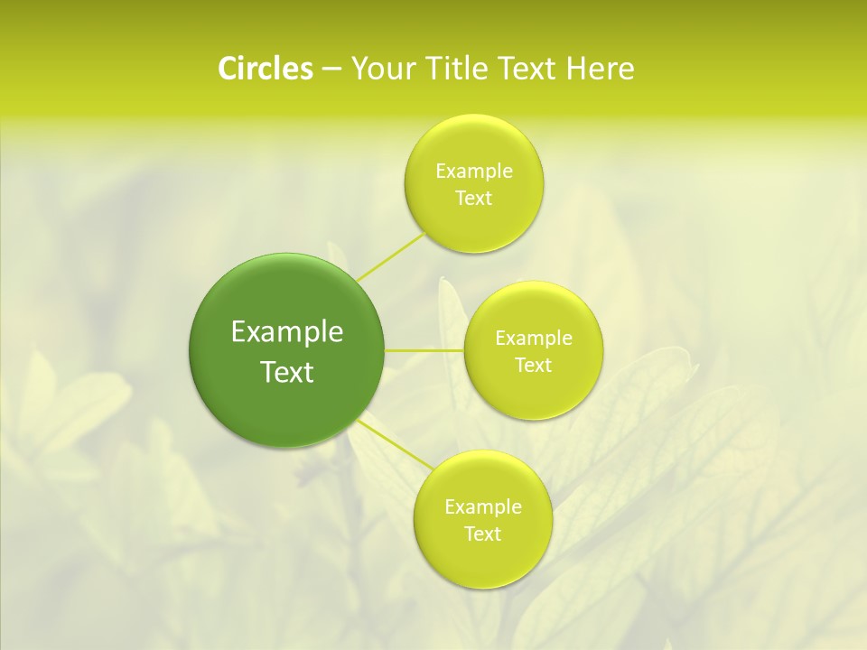 Shine Blur Green PowerPoint Template