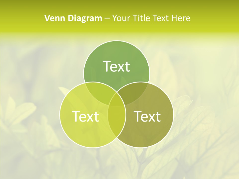 Shine Blur Green PowerPoint Template