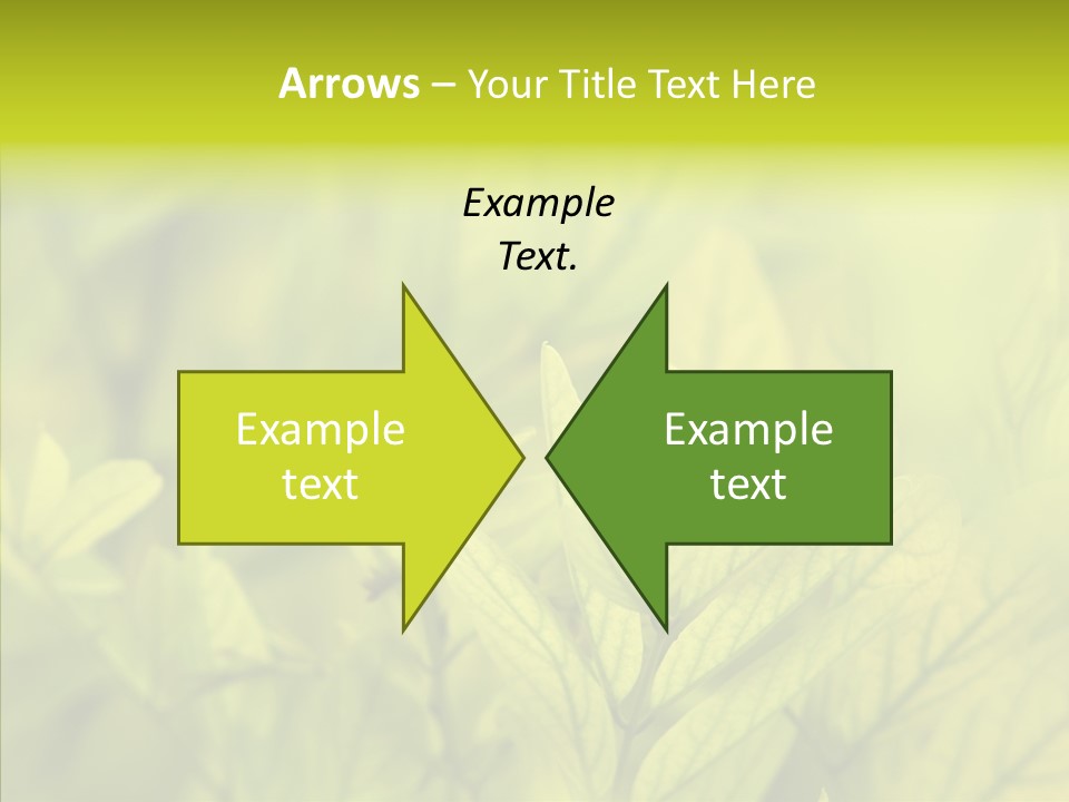 Shine Blur Green PowerPoint Template