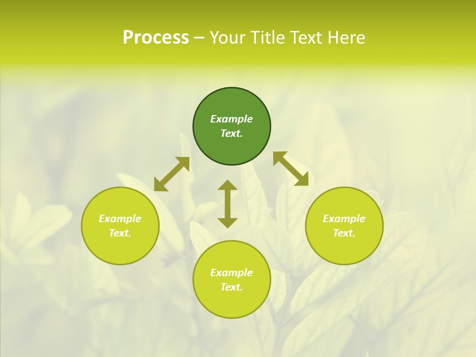 Shine Blur Green PowerPoint Template