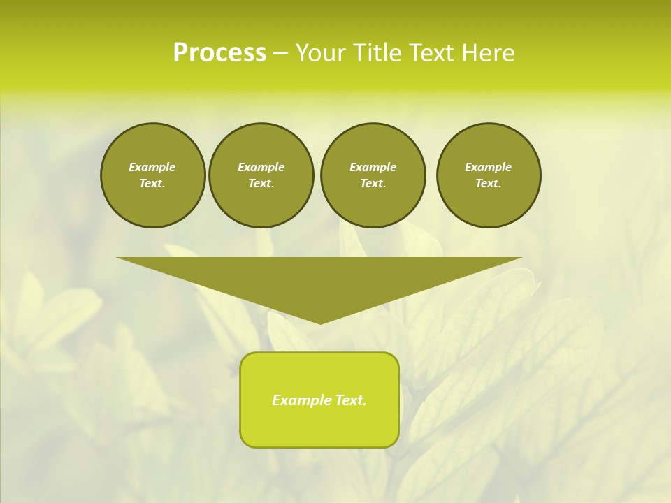 Shine Blur Green PowerPoint Template