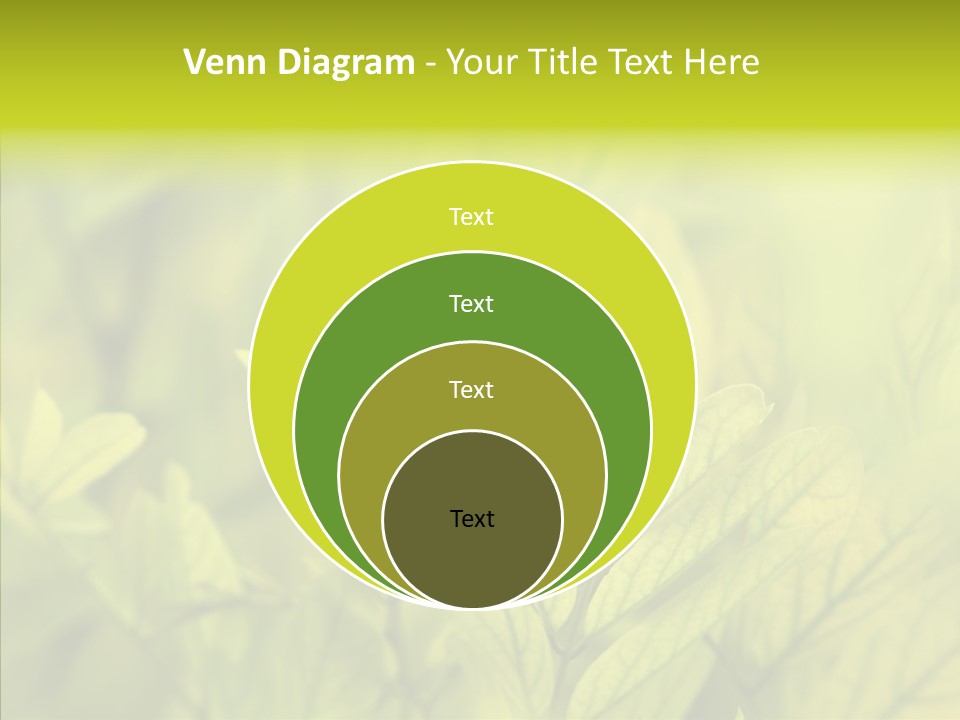 Shine Blur Green PowerPoint Template