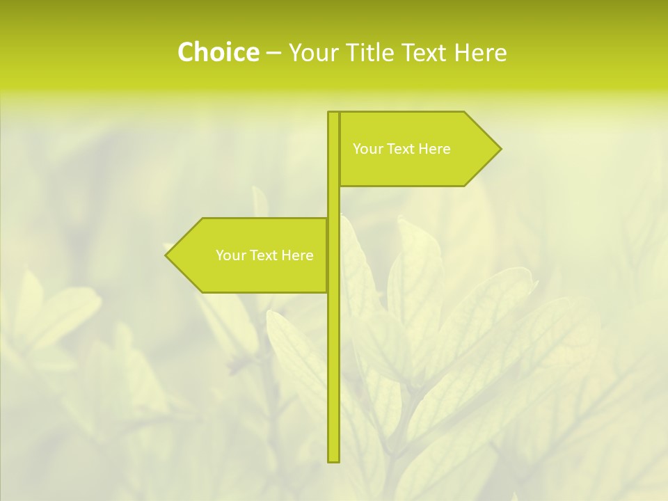 Shine Blur Green PowerPoint Template