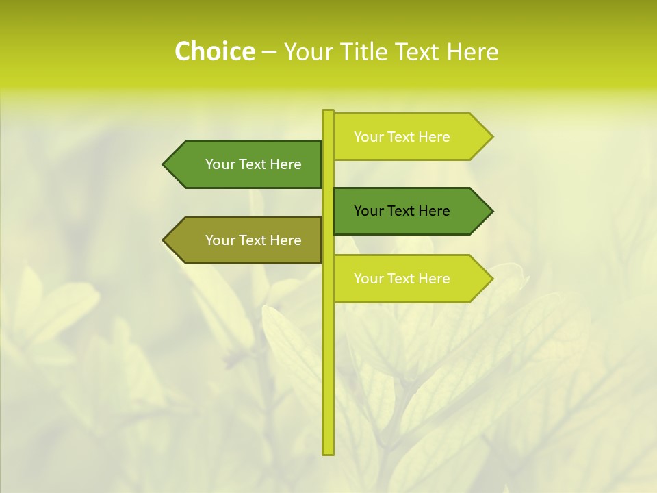 Shine Blur Green PowerPoint Template