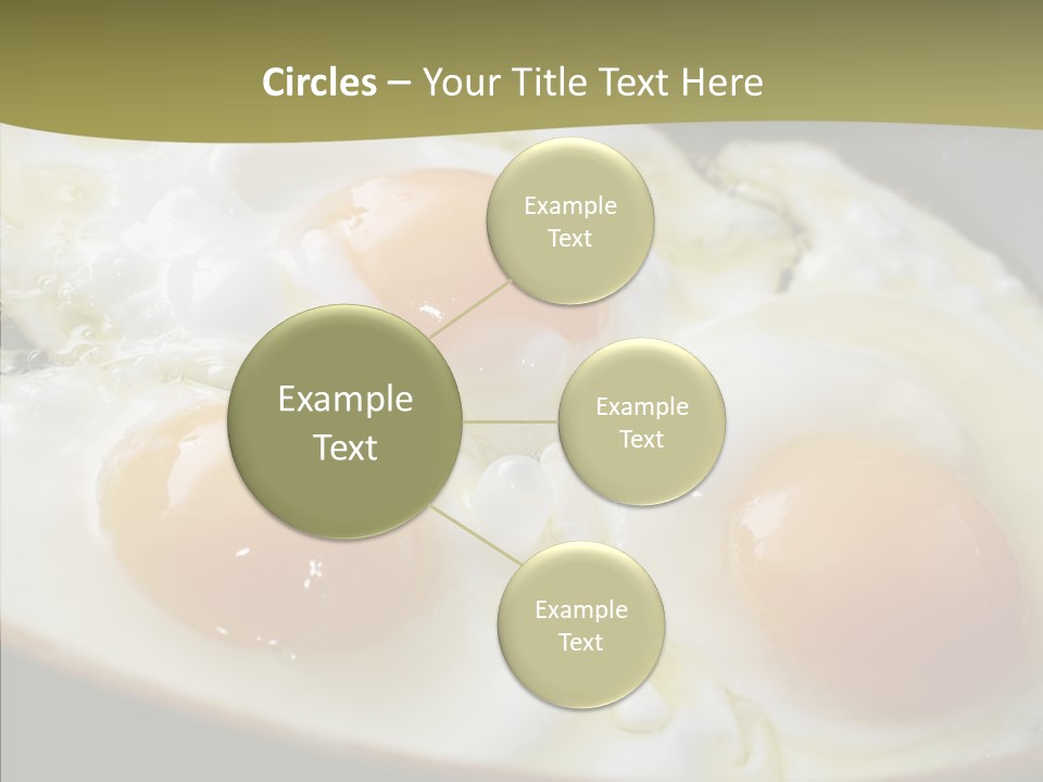 Communication Profe Ional Company PowerPoint Template
