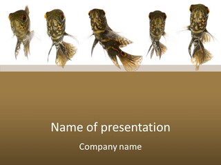 Oscar Concept Green PowerPoint Template