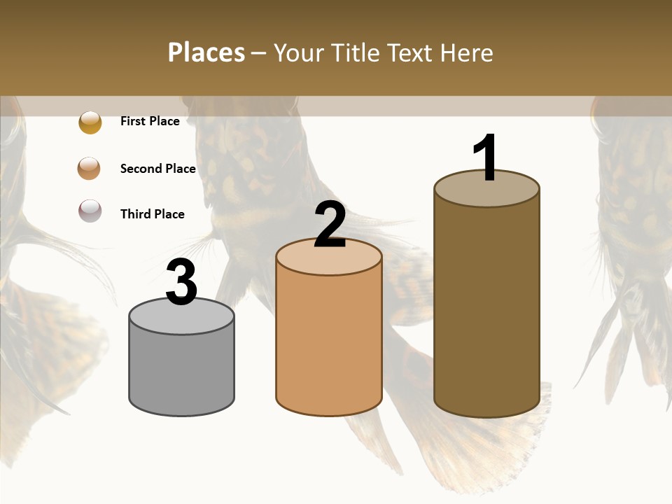 Oscar Concept Green PowerPoint Template