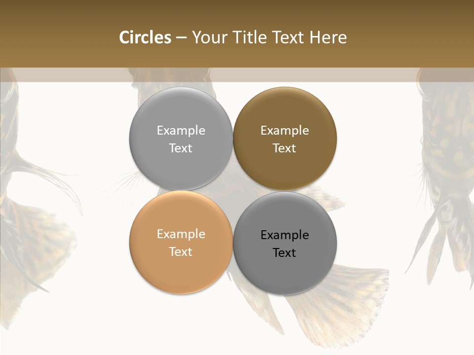 Oscar Concept Green PowerPoint Template