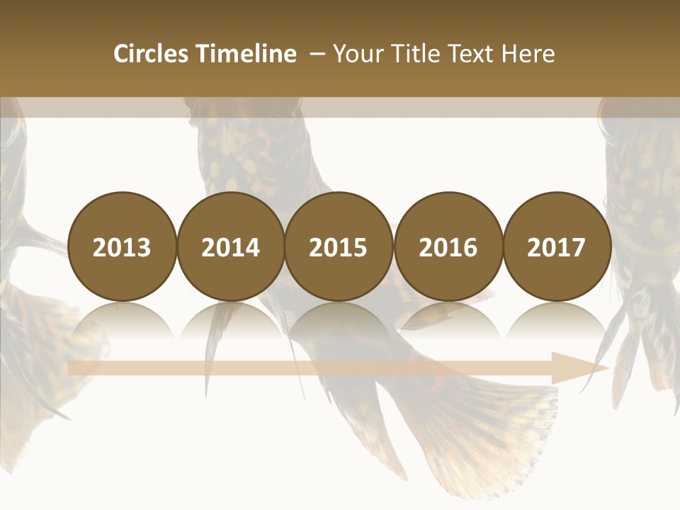 Oscar Concept Green PowerPoint Template