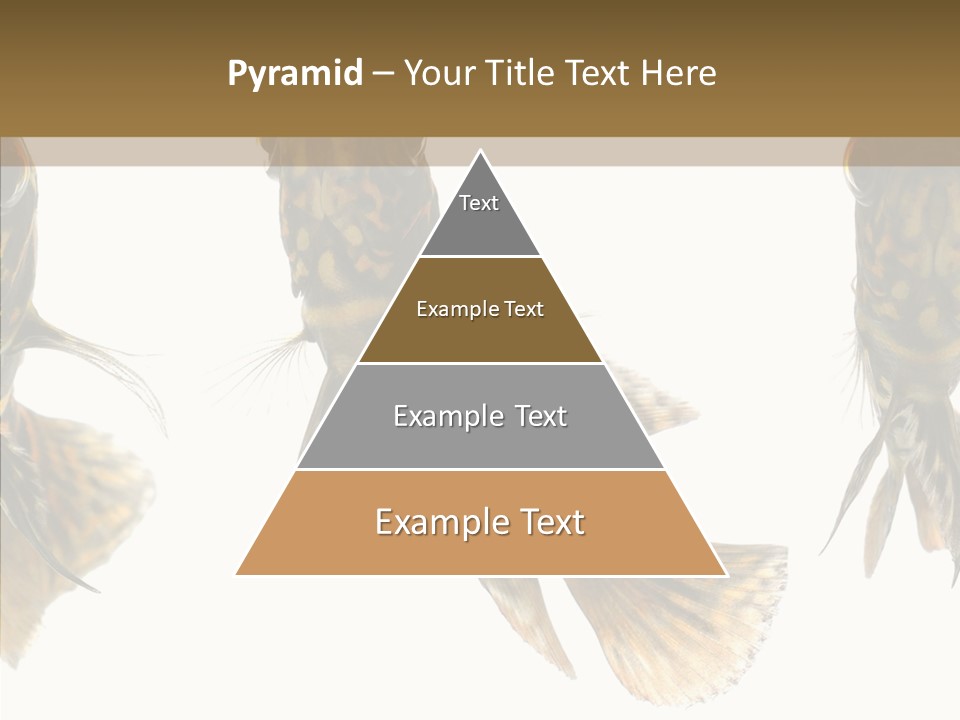 Oscar Concept Green PowerPoint Template