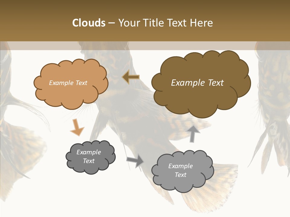 Oscar Concept Green PowerPoint Template