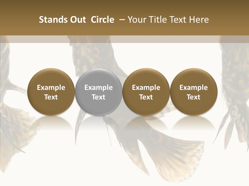 Oscar Concept Green PowerPoint Template