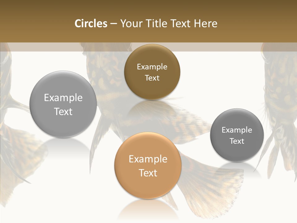 Oscar Concept Green PowerPoint Template