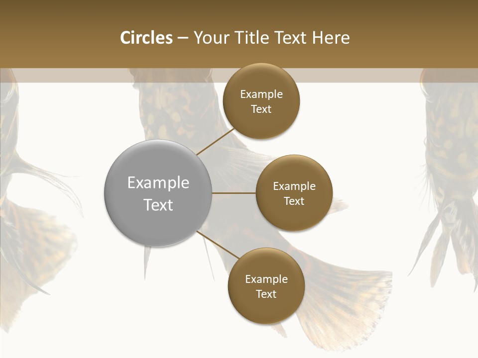 Oscar Concept Green PowerPoint Template