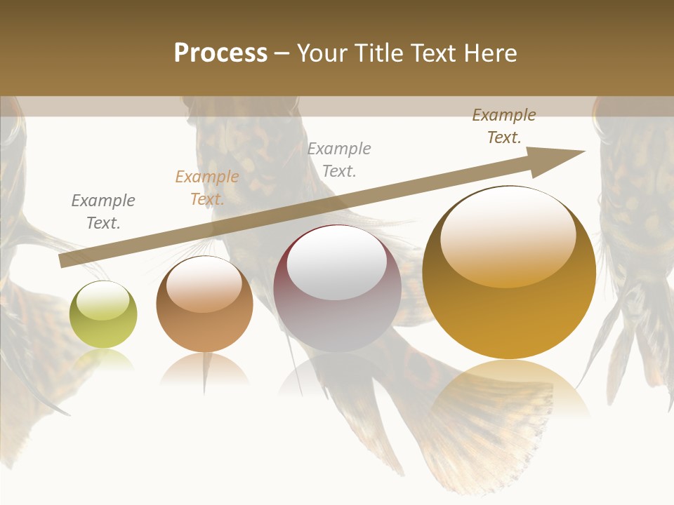 Oscar Concept Green PowerPoint Template