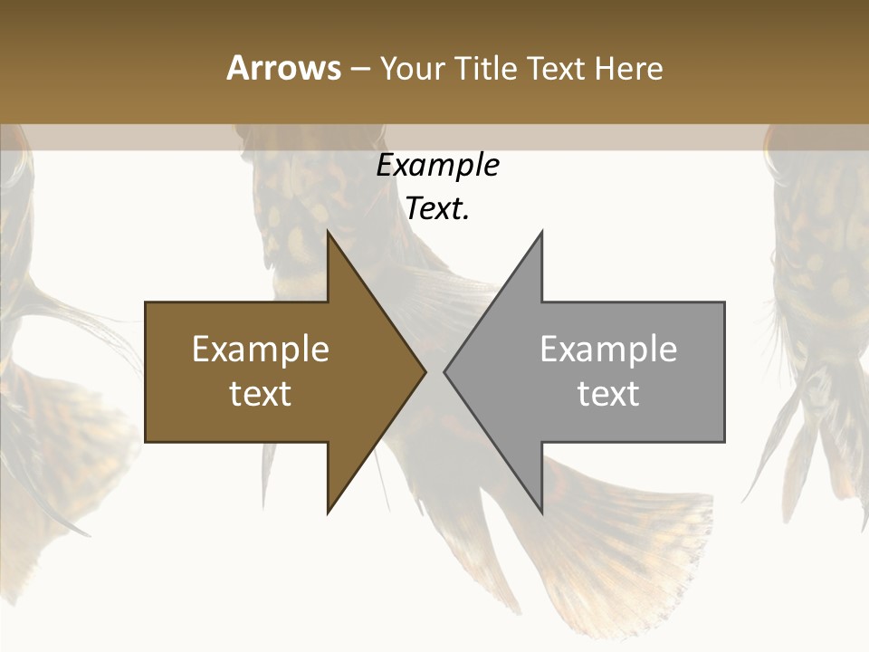 Oscar Concept Green PowerPoint Template