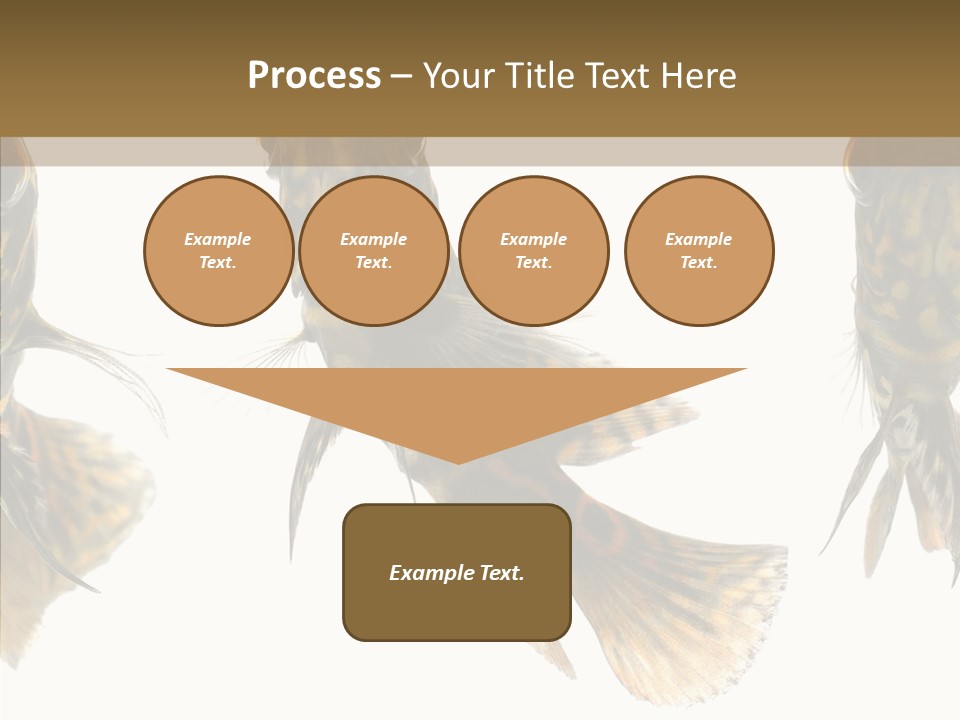 Oscar Concept Green PowerPoint Template