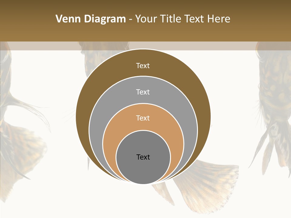 Oscar Concept Green PowerPoint Template