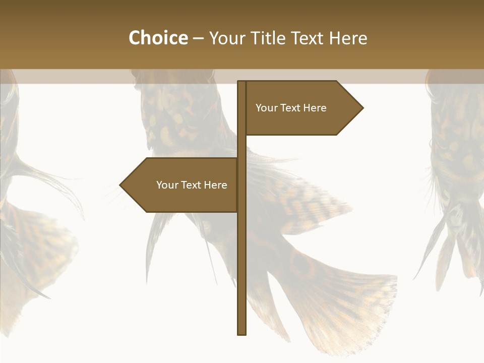 Oscar Concept Green PowerPoint Template