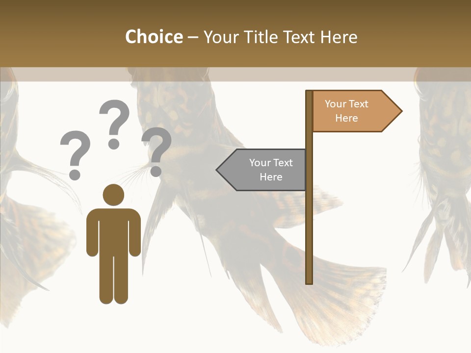 Oscar Concept Green PowerPoint Template