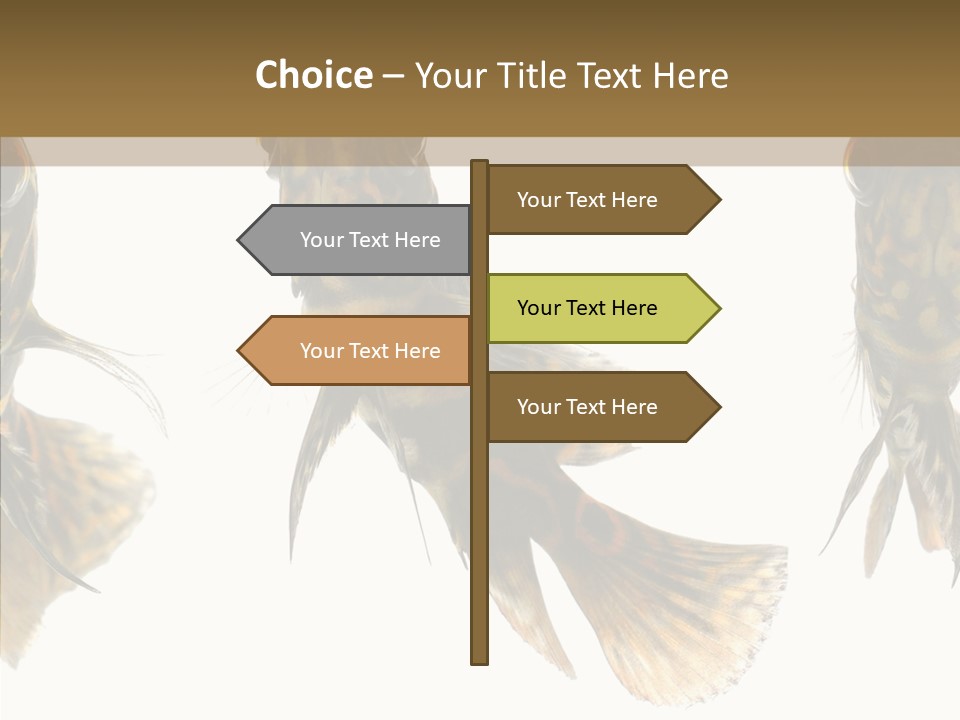 Oscar Concept Green PowerPoint Template