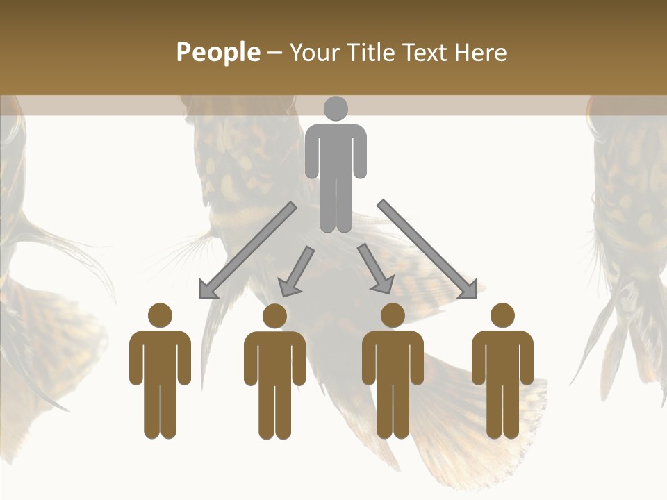 Oscar Concept Green PowerPoint Template